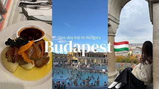 【ブダペストvlog】ハンガリーの首都ブダペストを1日で観光🇭🇺念願のセーチェニー温泉|絶品フォアグラ、グヤーシュ