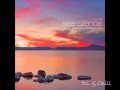 Sea Of Silence - Vol. 09 (2010) CD1 