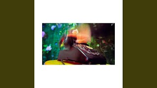 NEW FRIENDS - Radio Edit Music Video