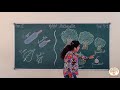 CLASS 1 MATHS CH 1 BIGGER SMALLER BIGGEST SMALLEST GURUKULAM ONLINE CLASS