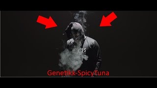 SpicyTuna-Genetikk (FUKK GENETIKK) by RedBull Studios