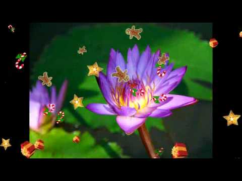 Excellos Five (1926) - Why Couln´t it Poor Little Me?