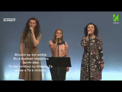 Biruitor - Cireșarii