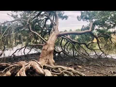 Short video of park’s beauty