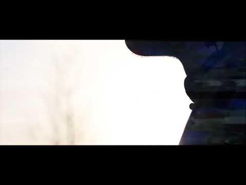 Effel - Focuri de armă