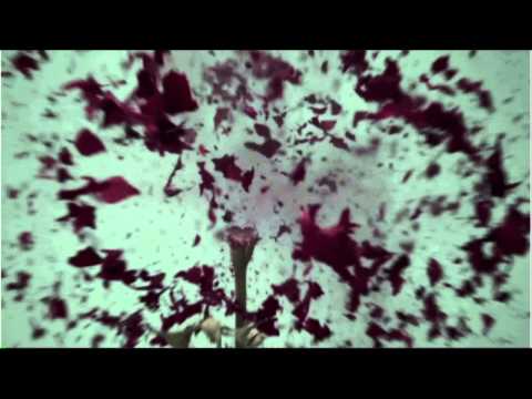 Hawkwind featuring Brian Blessed - Sonic Attack - The 11th Hawknerd Flag