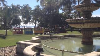 Tren eléctrico paseo matutino