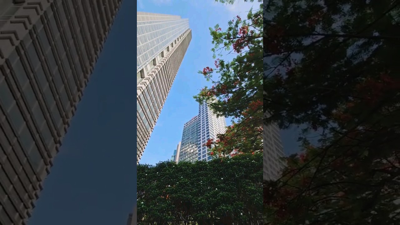 YouTube Short thumbnail