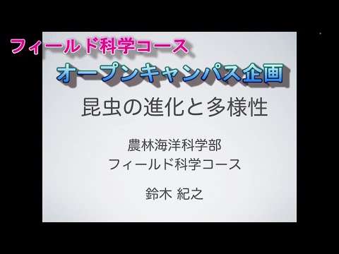 フィールド科学コース　オープンキャンパス企画（昆虫の進化と多様性）