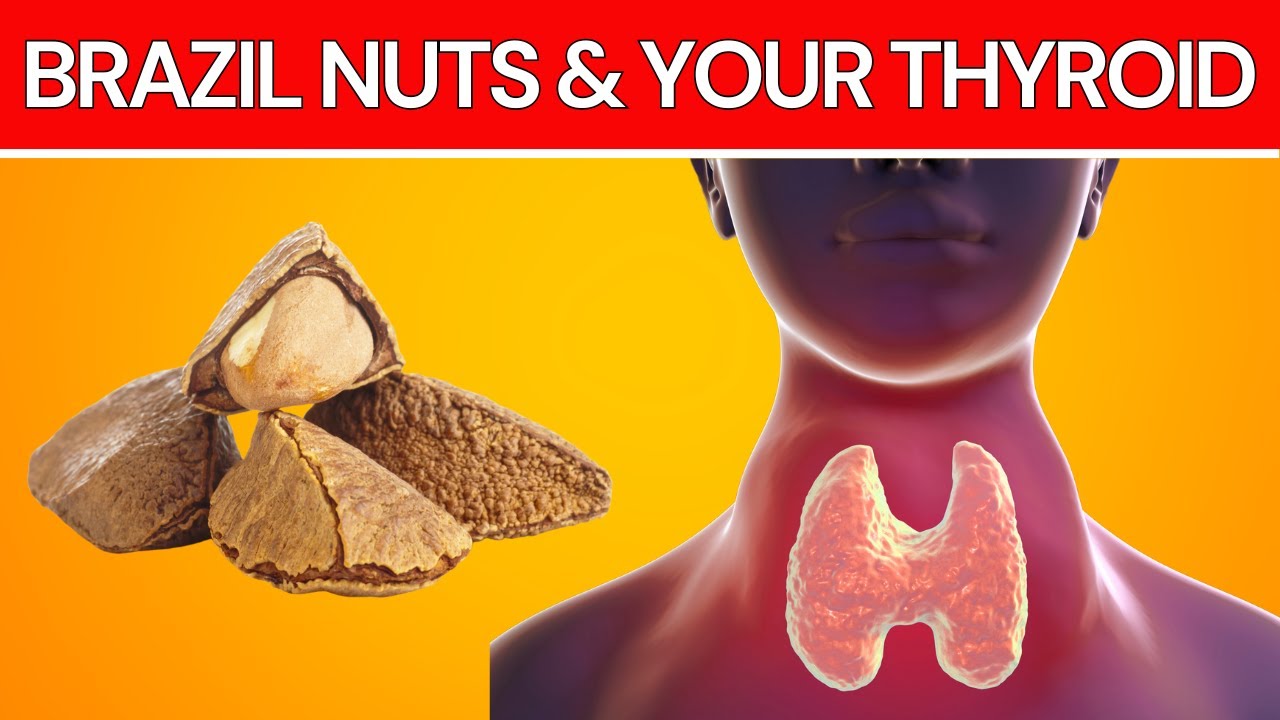 6 Reasons To Eat BRAZIL NUTS For THYROID FUNCTION