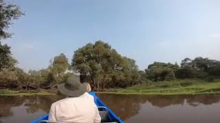 Tra Su Bird Sanctuary - An Giang Province. Mekong Delta 3 days with Maika Tours