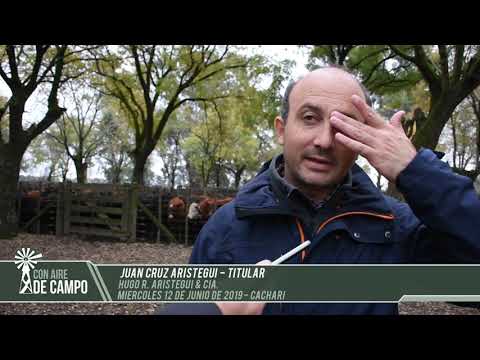 Resumen del remate de Hugo R. Aristegui - Miércoles 12 de junio de 2019 - Cachari