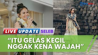 Sambil Nangis-nangis, Nikita Mirzani Klarifikasi Ditudingan KDRT ke Toni: Gelas Kecil Gak Kena Wajah