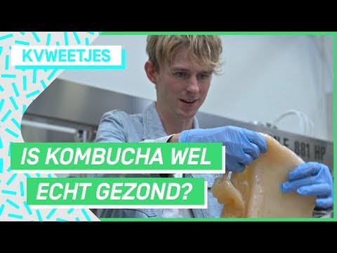 , title : 'Kombucha is thee met zwammen?! | KVWEETJES #3 | NPO 3'