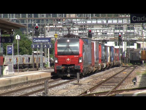 Berge, Palmen, Züge - zwischen Cadenazzo und Pino