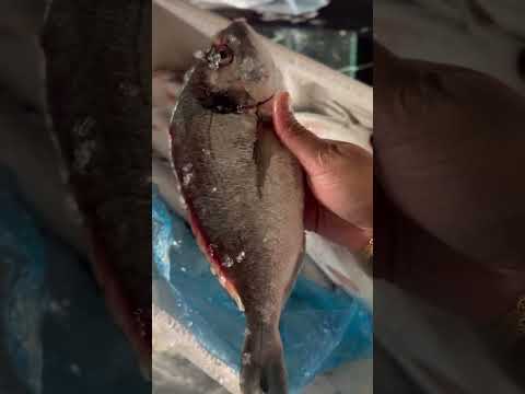 Denmark Fish #everyone #followers #fish #recipe #viralvideo #music #song