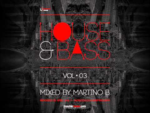 HOUSE & BASS ● Vol 03 ● mixed by Martino B @ 25-04-2013