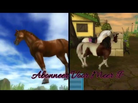 Engelse Volbloed VS Ijslanderr!!!