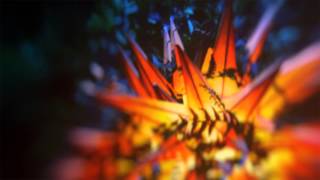 Helios - Emancipation (Late Night Tales: Jon Hopkins)