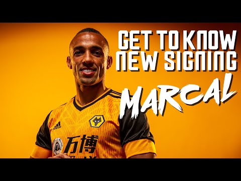 Wolves New Signing