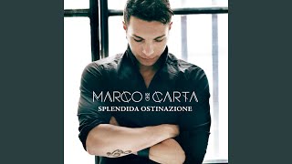 Splendida ostinazione