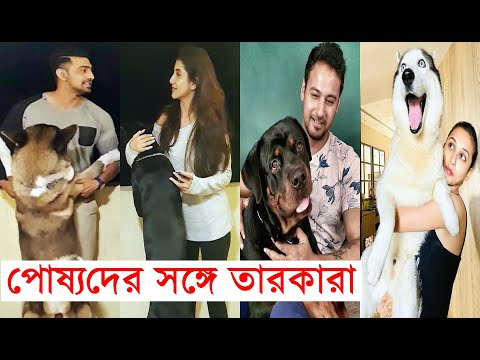 পোষ্যদের সঙ্গে তারকারা Bengali Celebs with Pet Dog at Home | Dev | Mimi | Subhashree | Ankush | Yash