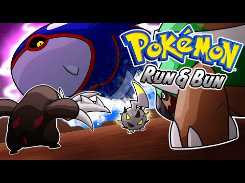 How I Beat The Hardest Pokemon Game Ever Created
