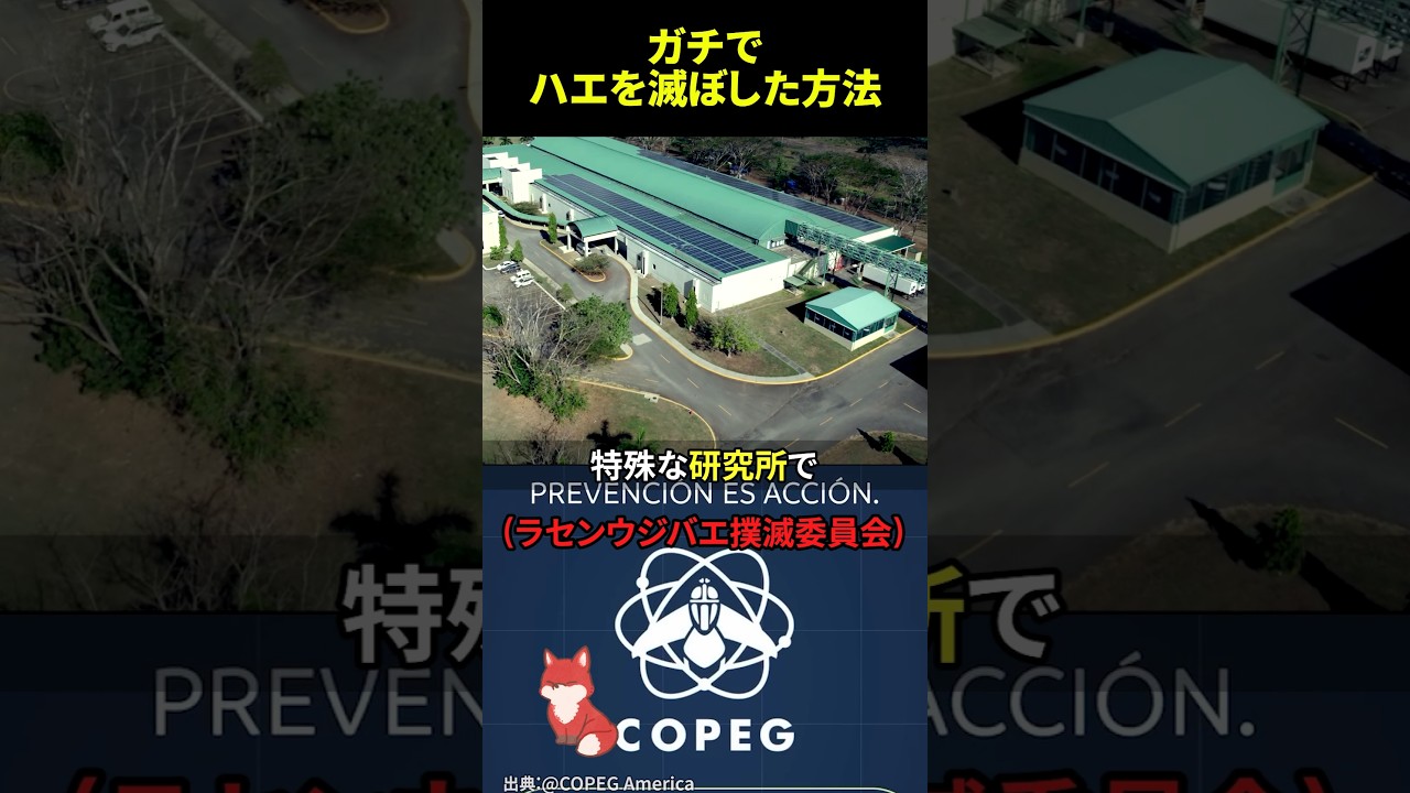 ㊗️100万回再生‼︎ 人間を怒らせたハエがガチで絶滅させられたまさかの方法