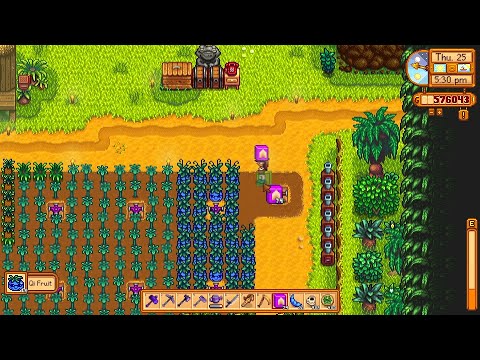 Stardew Valley 129 :: Fertilising Qi Fruit