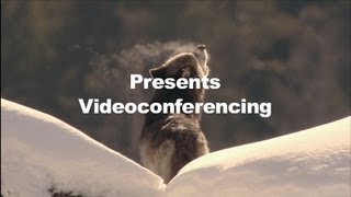 preview picture of video 'WolfLink Videoconferencing Programs with the International Wolf Center'