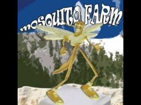 Mosquito Farm - Jesus