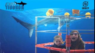 DIA 2 Expo Tiburon267