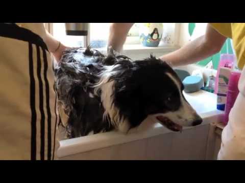 Sid's bath   Computer