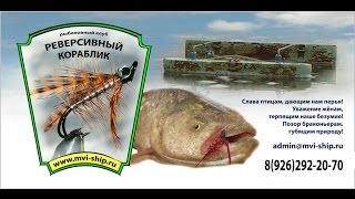 Ссылка
