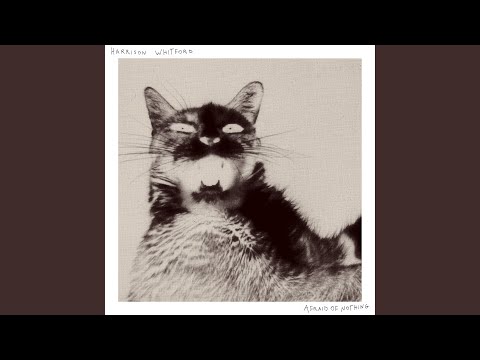 I Dont Know - Harrison Whitford