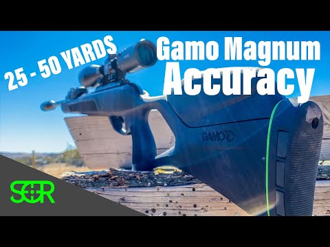 ACCURACY TEST Gamo Magnum SWARM 10X GEN2 in .22 cal - 25 & 50 YARDS!