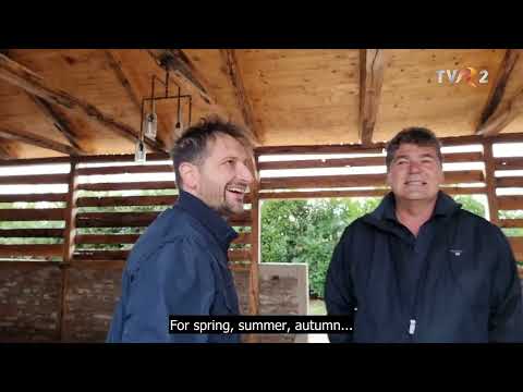 VINE BROTHERS - FRAȚI DE VIȚĂ : November 13, 2021