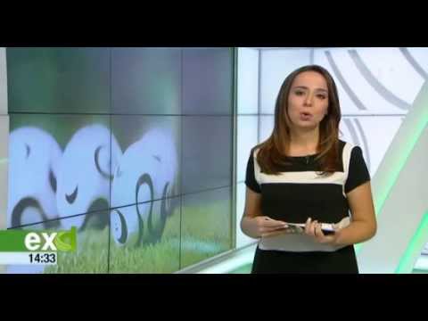 División de Honor juvenil 15/16. Puebla de la Calzada 1 Rayo Majadahonda 2