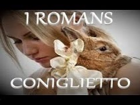 I Romans Coniglietto 1976 Canzone con Video e Testo Animato