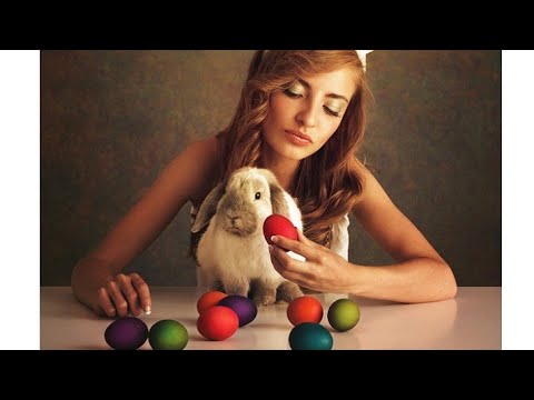 I Romans Coniglietto 1976 Canzone con Video e Testo Animato