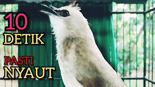 Download lagu Trucukan Ombyokan trucuk Bahan PAUT BISU PASTI BUNYI DENGAR SUARA TRUCUK GACOR NGALAS NGROPEL INI ‼️ mp3 Download lagu Trucukan Ombyokan trucuk Bahan PAUT BISU PASTI BUNYI DENGAR SUARA TRUCUK GACOR NGALAS NGROPEL INI ‼️ mp3