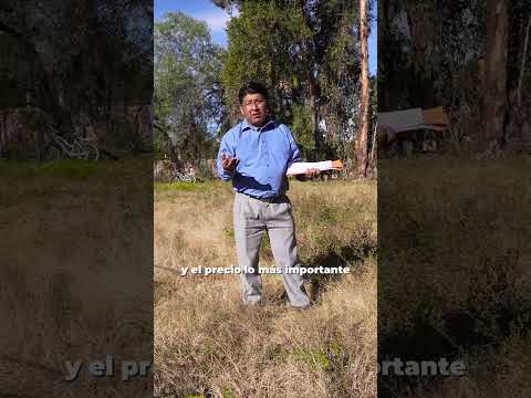 Lote Grande en Venta en zona residencial de Colcapirhua - Papeles al dia