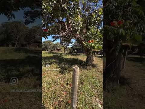 🏡 CHÁCARA DE 10 ALQUEIRES EM BELA VISTA GO | 6.290.000