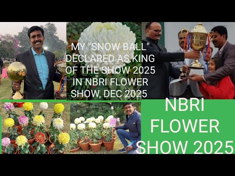 NBRI#FLOWER  SHOW#CSIR#BY #ACHALGREENEMPIRE#  HORTICULTURE #GARDENING# #NURSERY 