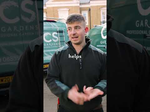 CS Gardens - Video 20