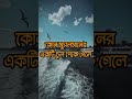 Small Hadith 5 ছোটো হাদিস ৫ Islamic Music Islam Hadees Reels