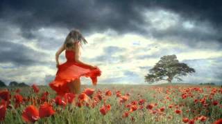 Force with Brian Hughes - Follow Your Dream