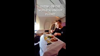 Download lagu Food On The World's Longest Flight😱 19 Hours - New York to Singapore! mp3 Download lagu Food On The World's Longest Flight😱 19 Hours - New York to Singapore! mp3