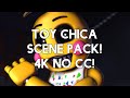Toy Chica Scene Pack 4K No CC Shorts