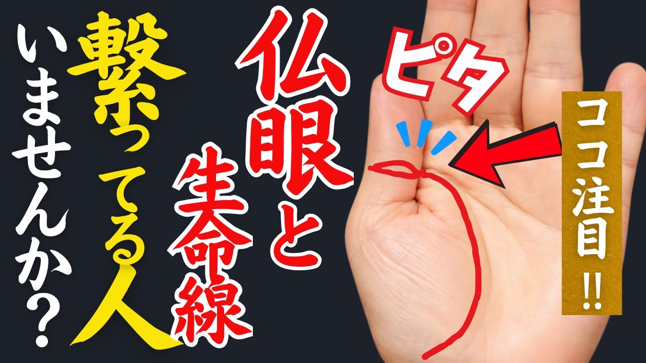 【手相】今見ないとヤバイ⚠️これだけ差が付く５０代から億を作る　晩年の金運手相トップ３